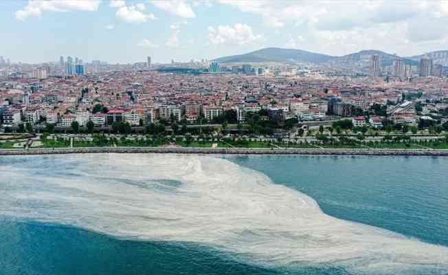 Marmara Denizi'ndeki m&uuml;silaj sorununa acil &ccedil;&ouml;z&uuml;m i&ccedil;in bilim insanları Y&Ouml;K'te toplanacak