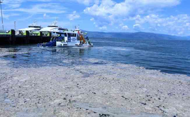 Marmara Denizi&#039;ndeki müsilaj sorununun çözümü için tüm paydaşların katılımıyla ortak eylem planı hazırlanacak