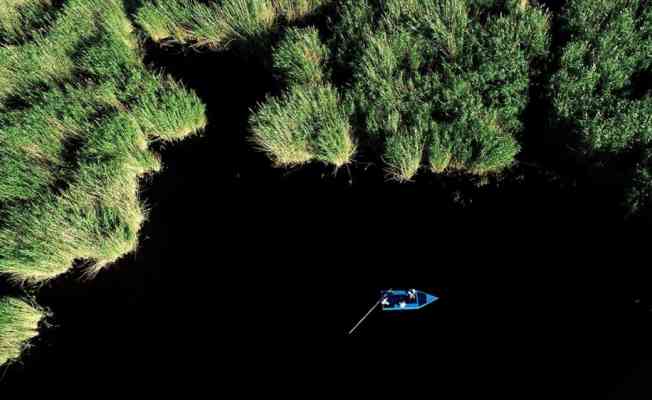 Mavi ile yeşilin buluştuğu Orta Anadolu'nun kuş cenneti ziyaretçilerini ağırlıyor