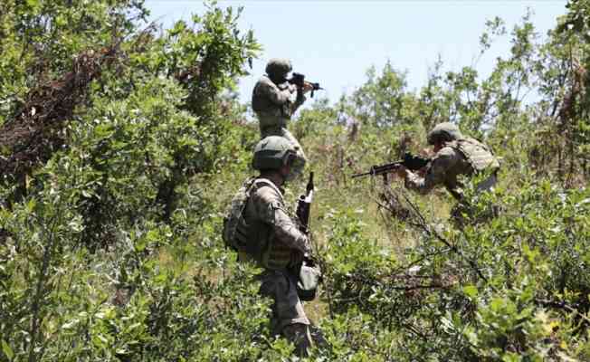 Pen&ccedil;e-Şimşek operasyonu b&ouml;lgesindeki mağarada 3 PKK'lı ter&ouml;rist etkisiz hale getirildi