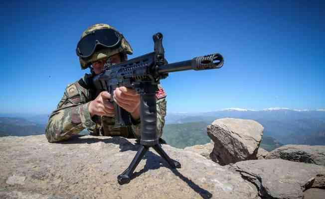 Van&#039;ın Başkale ilçesi kırsalında 3 terörist etkisiz hale getirildi