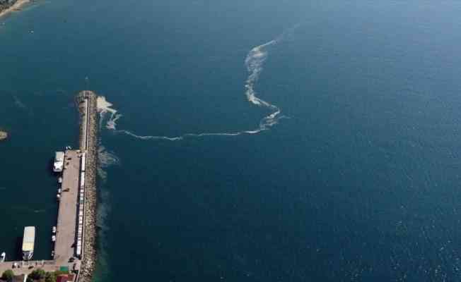 Marmara Denizi'nde toplanacak miktarda müsilaj olmadığı için dün de temizleme çalışması yapılmadı