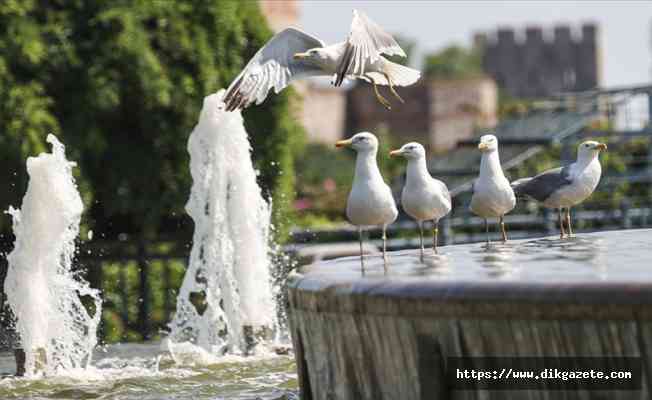 Türkiye 'Eyyam-ı bahur' sıcaklarının etkisi altına giriyor