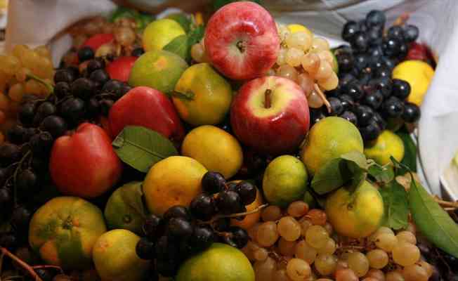 Türkiye'nin yaş meyve sebze ihracatında artış eğilimi sürüyor