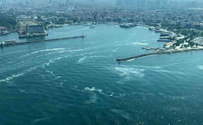 YÖK Marmara'nın müsilaj sorununa çözüm için doktoralı bilim insanlarını burslu yetiştirecek