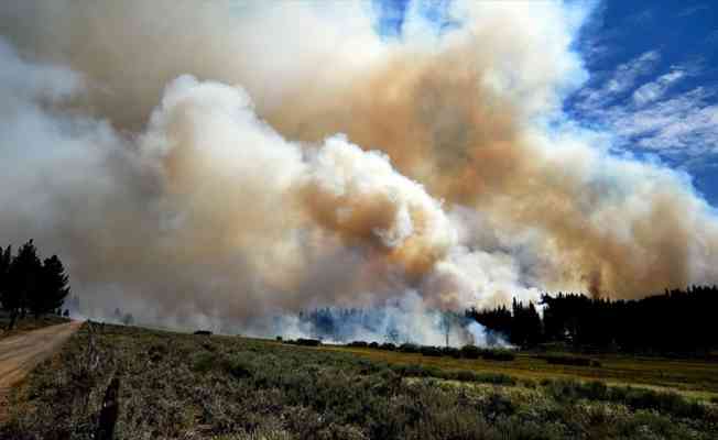 ABD’nin California eyaletinde orman yangınları devam ediyor