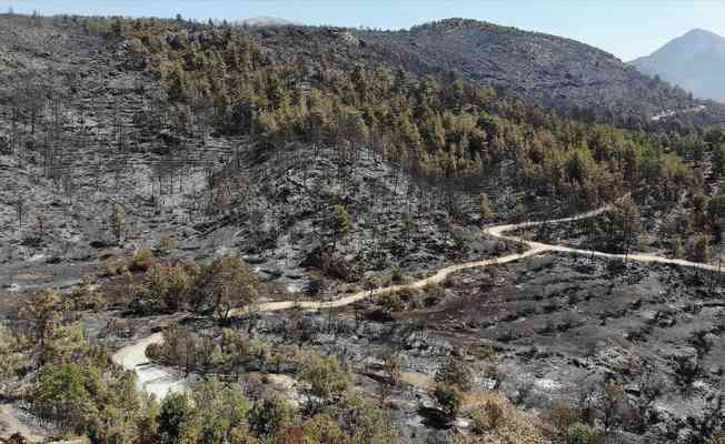 Antalya'daki yangın ile Kastamonu ve Sinop'taki sel bölgesi için acele kamulaştırma kararı