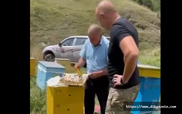 Azerbaycan, işgalden kurtardığı Kelbecer dağlarından dünyaya bal satacak