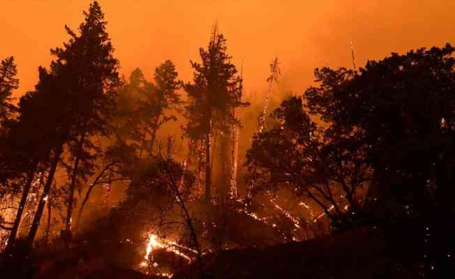 Dünya genelinde orman yangınları ile mücadele devam ediyor