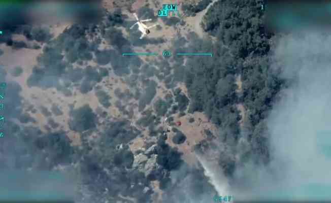 İHA'lardan Mavi Vatan'dan sonra Yeşil Vatan'ın korunmasına da katkı