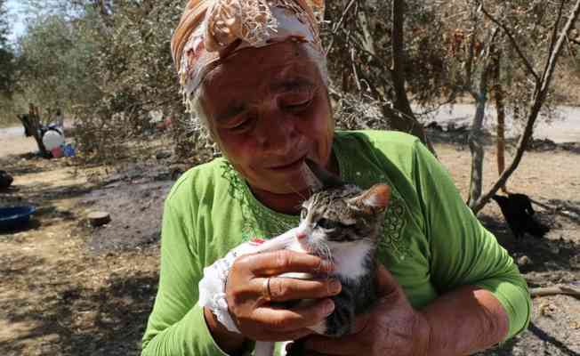 Orman yangınından son anda kurtulan yaşlı çift, tedavi edilen kedilerine kavuştu