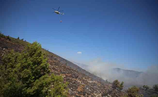 Bodrum ve Milas'taki orman yangınlarına 3 u&ccedil;ak ve 12 helikopterle m&uuml;dahale ediliyor