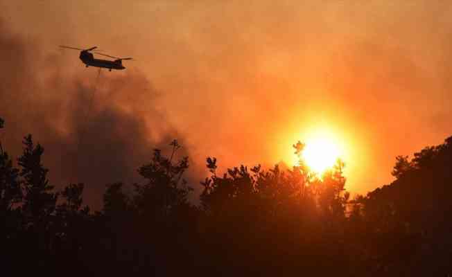 Muğla ve ilçelerindeki orman yangınlarıyla ilgili 15'in üzerinde soruşturma dosyası açıldı