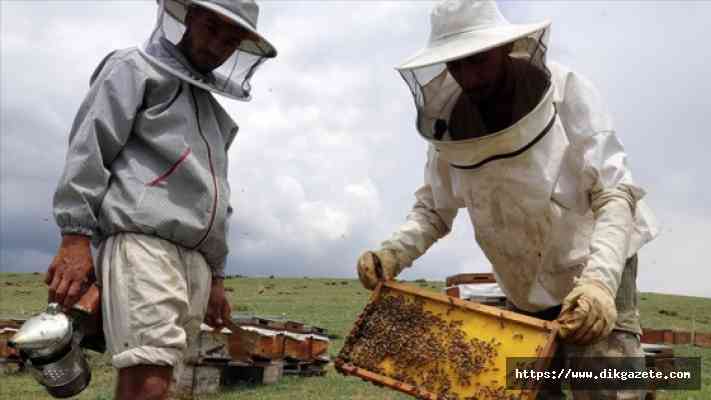 Türkiye Arıcılar Birliği ve Güvenilir Ürün Platformu toplantısında “arıcıların derdine derman olun“ çağrısı