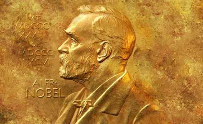 2021 Nobel Tıp Ödülü 'ısı ve temas reseptörlerinin keşfi'ne verildi