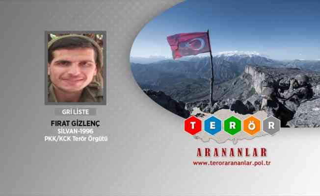 Gri listedeki teröristin Şırnak'taki operasyonda etkisiz hale getirildiği belirlendi