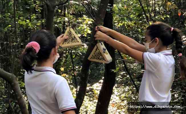 Öğrencilerin imal ettiği 'arı otelleri' ormana yerleştirildi