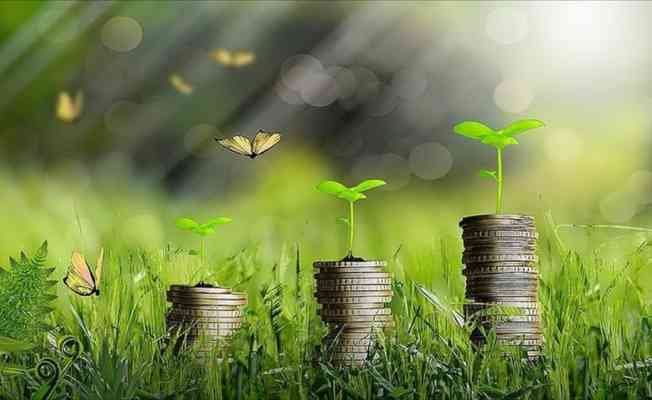 Yeşil d&ouml;n&uuml;ş&uuml;m projesi olan gen&ccedil; girişimcilere 200 bin liralık hibe desteği verilecek