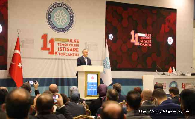 Maarif Vakfı ülke temsilcileri “eğitimde kalite“ gündemi ile toplandı