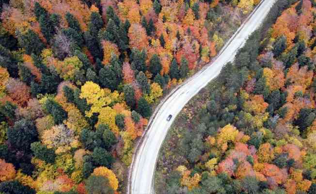 Türkiye'nin 'en büyük blok ormanları'na sahip Karabük'te renk cümbüşü yaşanıyor