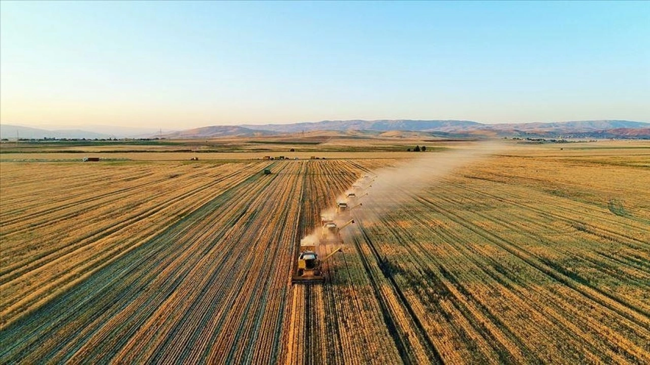 4. Tarım Orman Şurası kararları yarın açıklanacak