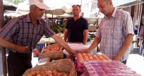 50 Tavukla başladı 8 bin metrekarelik çiftlik sahibi oldu