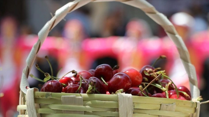 '57. Uluslararası Tekirdağ Kiraz Festivali' başladı