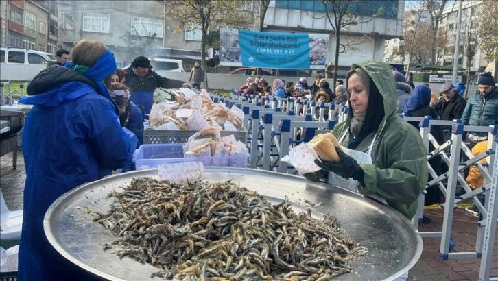 6. Rize Hamsi Festivali'nin kapanışında 3 ton hamsi dağıtıldı