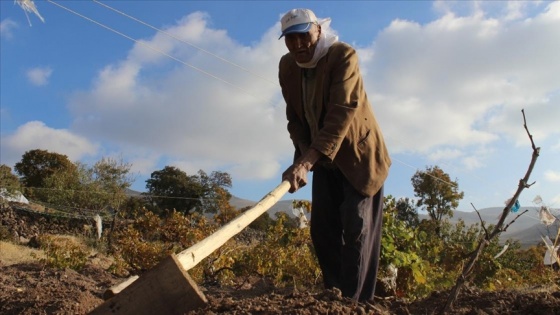 88 yaşındaki Aşır dede, azmiyle gençlere taş çıkartıyor