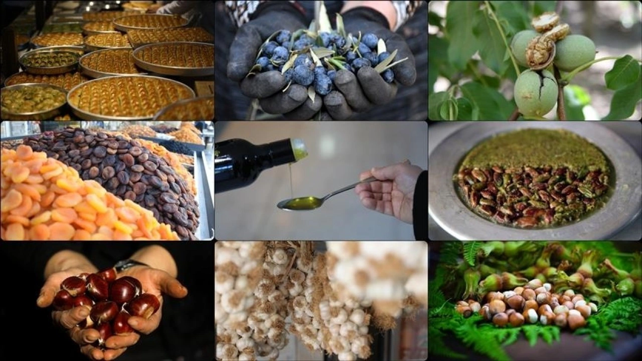 AB tescili, Türk ürünlerinin küresel pazarda görünürlüğünü artırıyor