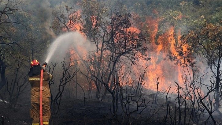 AB yaz yaklaşırken orman yangınlarının önüne geçmeye hazırlanıyor