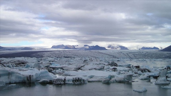 ABD Kuzey Kutbu Ulusal Yaban Sığınağında petrol ve gaz sondajına izin verdi