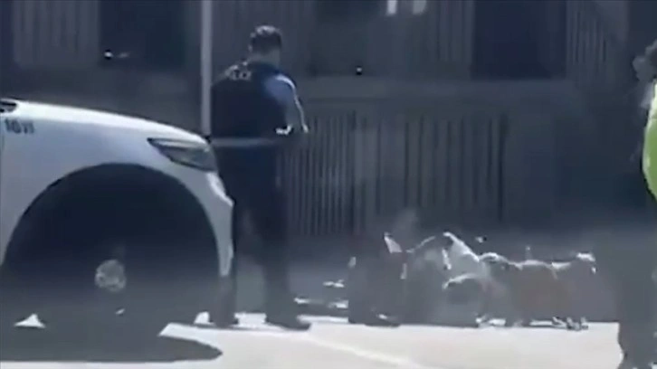 ABD'de köpeklerin saldırısına uğrayan bir kişi polisin müdahalesiyle kurtuldu