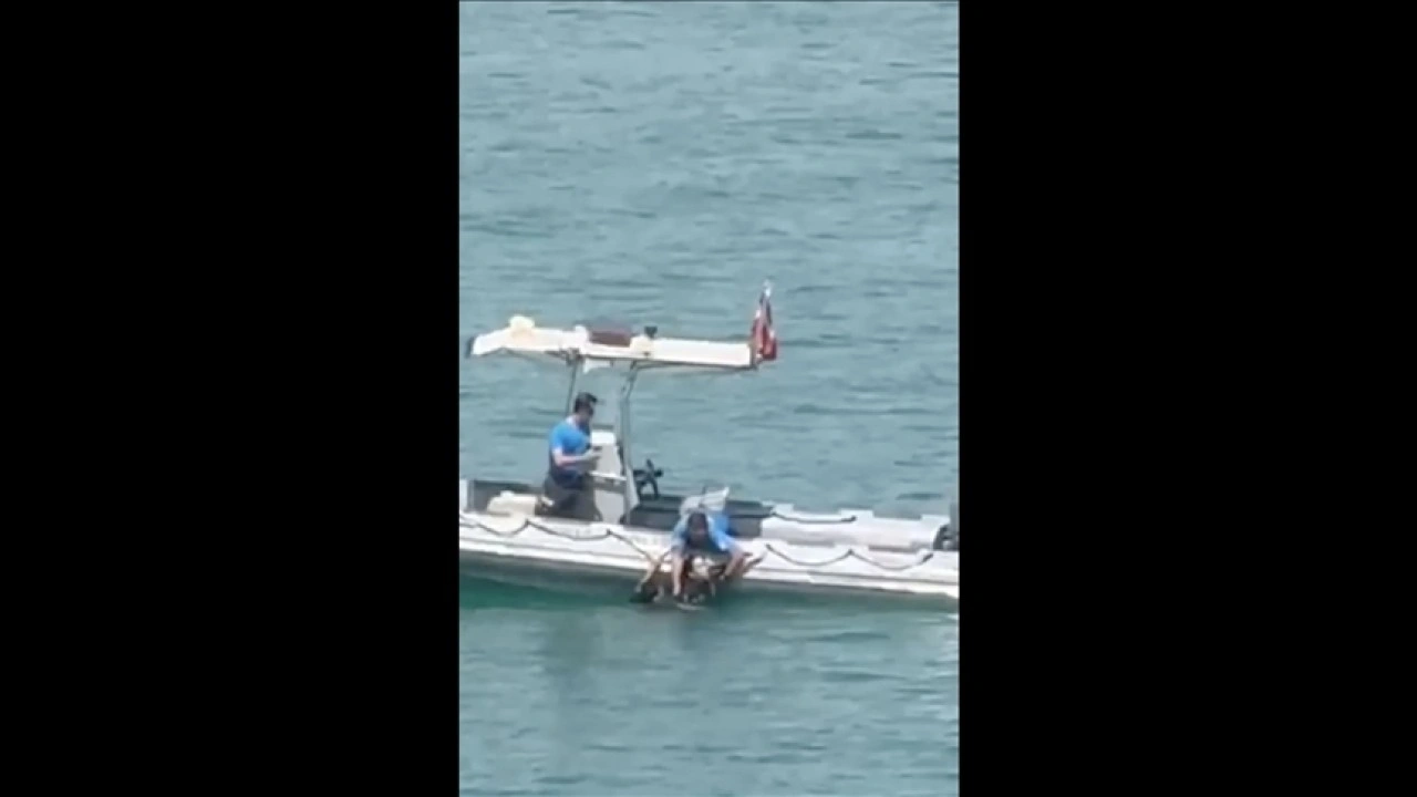 Adana'da köprüden Seyhan Baraj Gölü'ne düşen kadını polis kurtardı