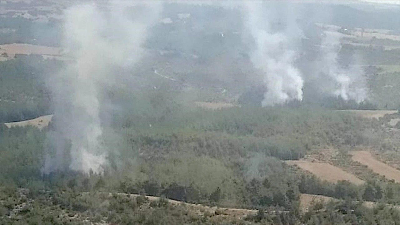 Adana'da orman yangını çıktı