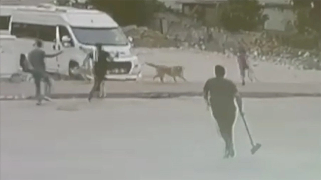 Adana'da sahipsiz köpeklerin saldırdığı 2 çocuk esnafın yardımıyla kurtarıldı