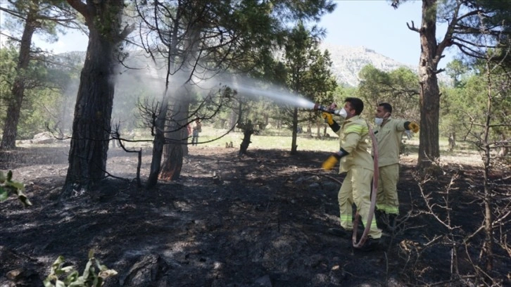 Adana'da 6 noktadaki orman yangınlarıyla ilgili bir zanlı tutuklandı