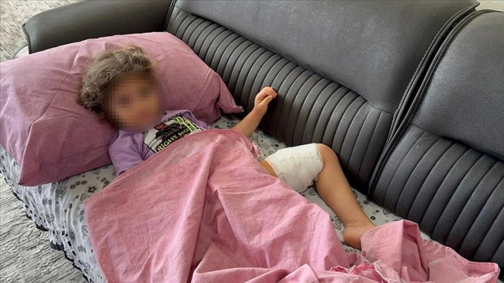 Adana'da köpek saldırısında yaralanan çocuk taburcu edildi
