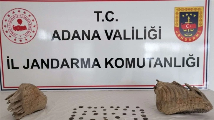 Adana'da mamut çenesi olduğu değerlendirilen iki fosil ele geçirildi