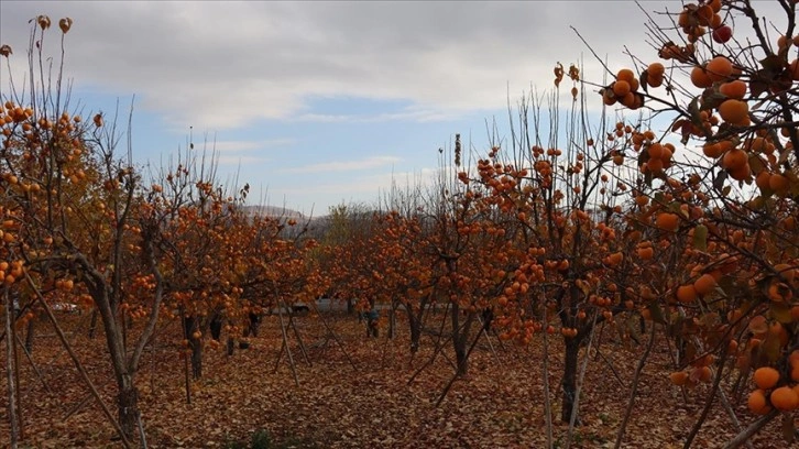 Adıyaman'da