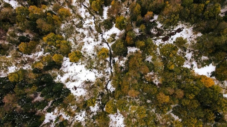 Ağaçları sonbahar renkleriyle süslü Çam Dağı kar yağışının ardından beyaz örtüyle kaplandı