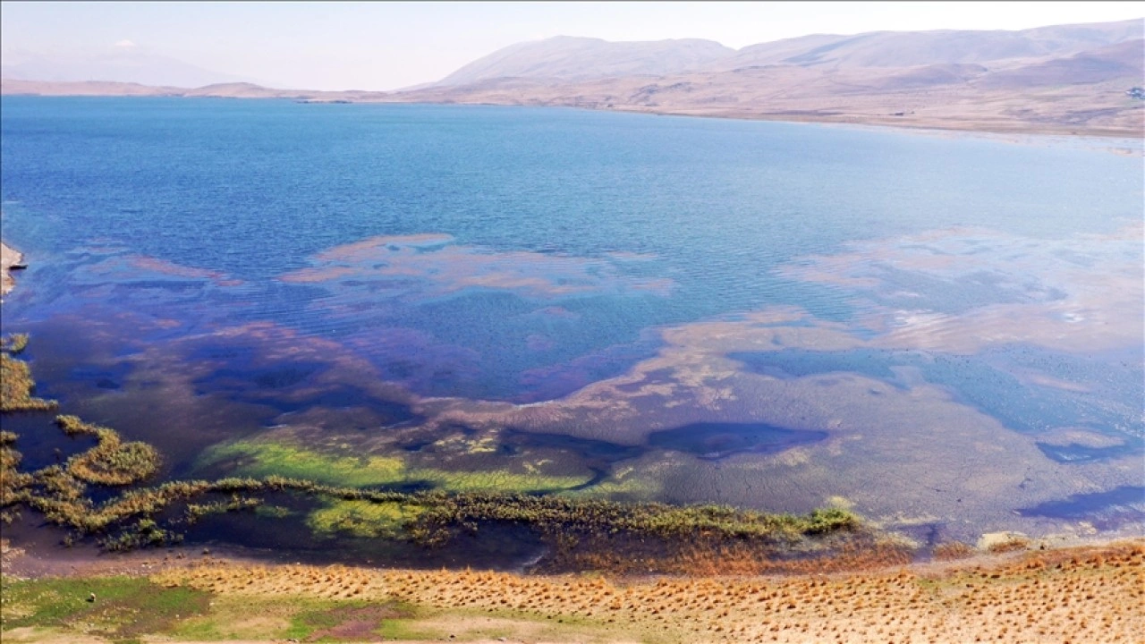 Ağrı'daki Taşlıçay Derecek Barajı'nda su tutulmaya başlandı