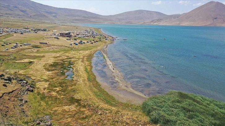 Ağrı'daki Balık Gölü'nün suyu bu sene de çekildi