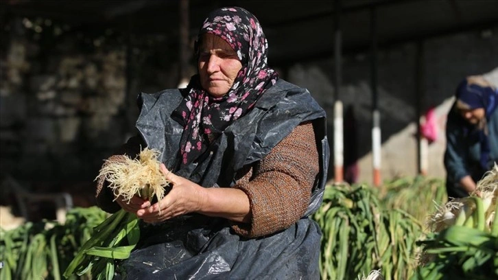 Aile bütçesine katkı sunan kadınların zorlu pırasa mesaisi