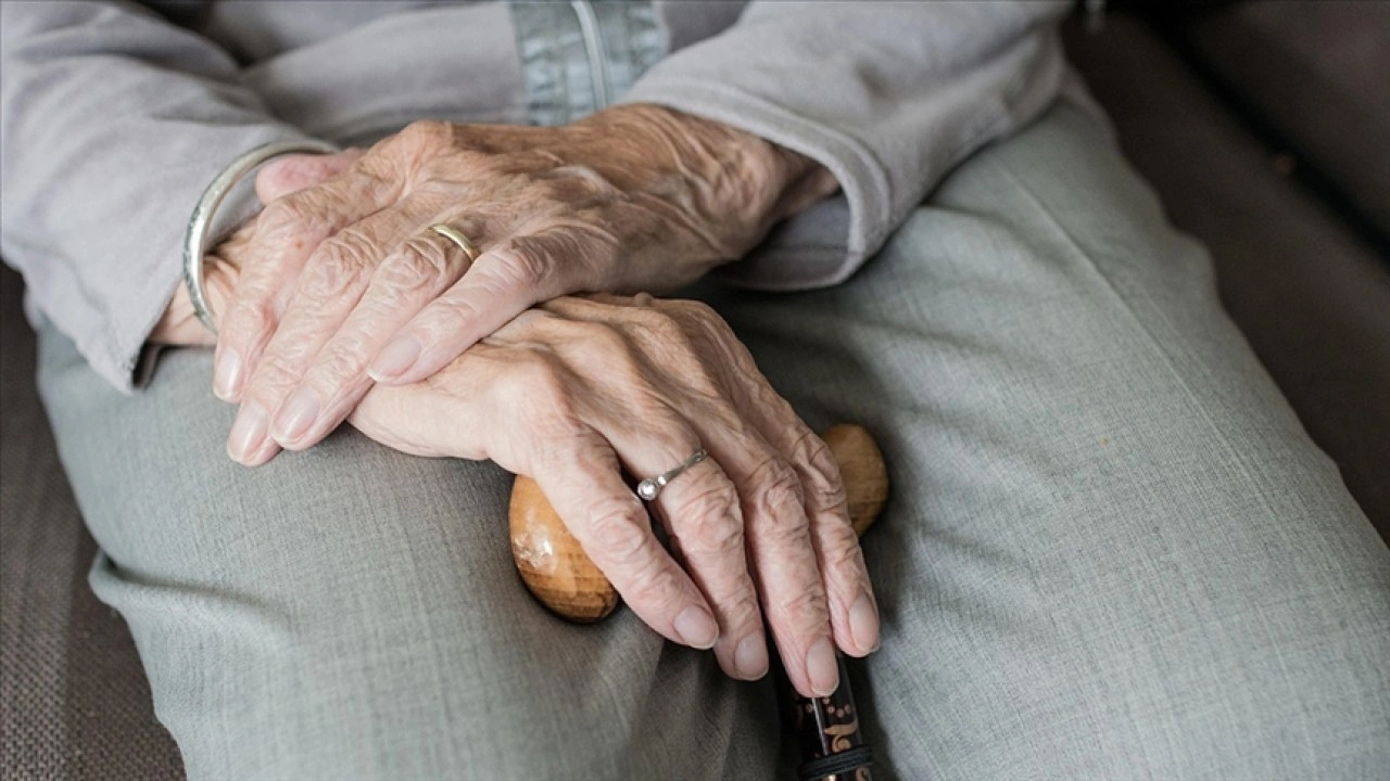 Aile ve Sosyal Hizmetler Bakanlığı, 81 ilde "İl Yaşlılık Çalıştayları" düzenleyecek