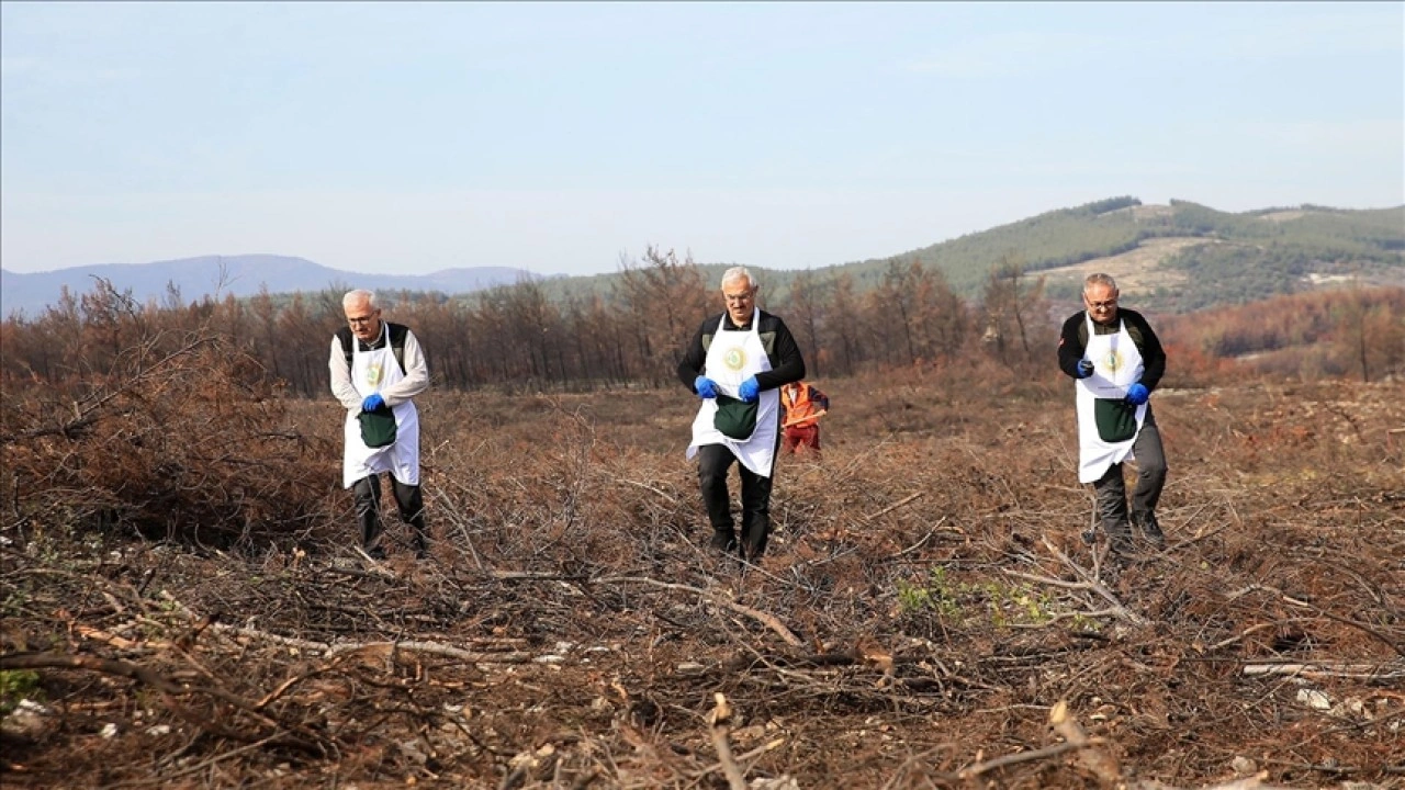 "Alev savaşçıları" bu kez fidan dikimi için sahada