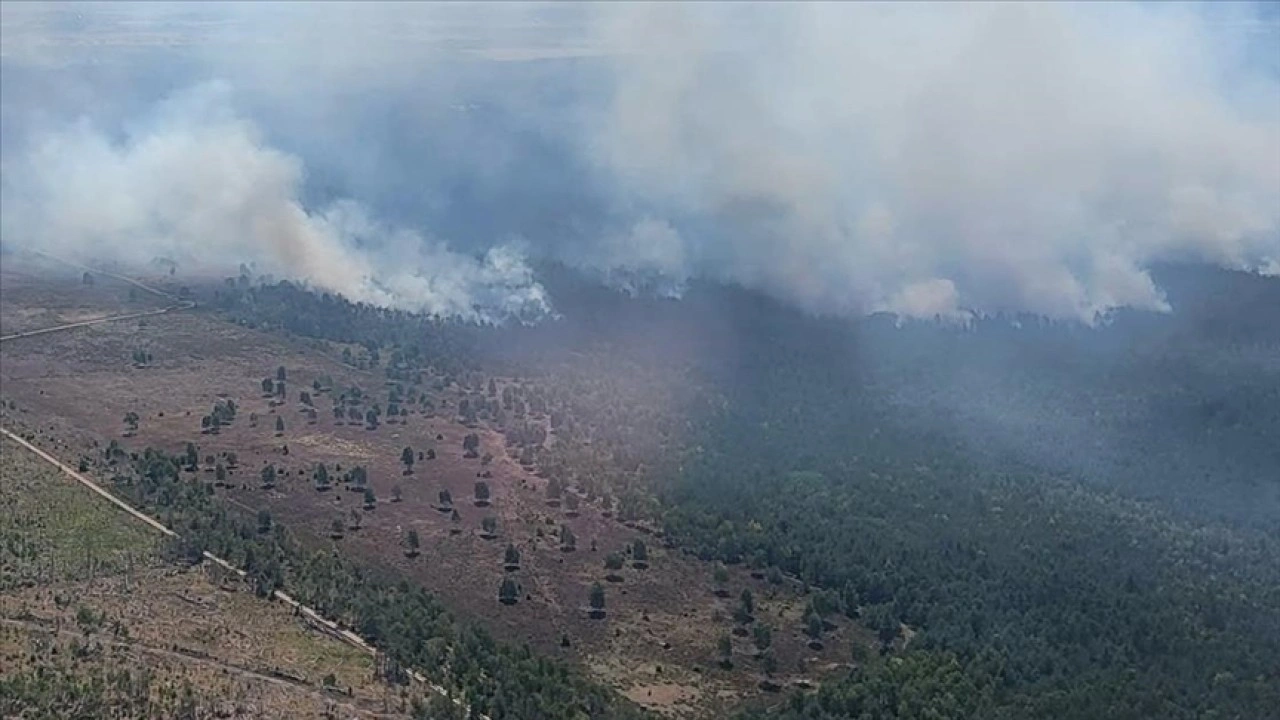 Almanya'nın üç eyaletindeki orman yangınlarıyla mücadele devam ediyor