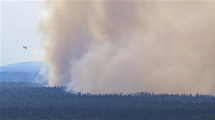 Almanya’da en fazla ormanlık alan bu yılki yangınlarda kül oldu