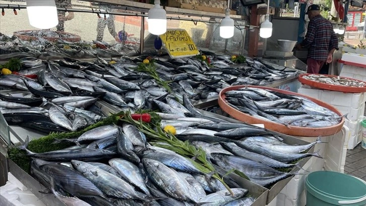 Amasra'da bol miktarda avlanan palamut tezgahları şenlendirdi