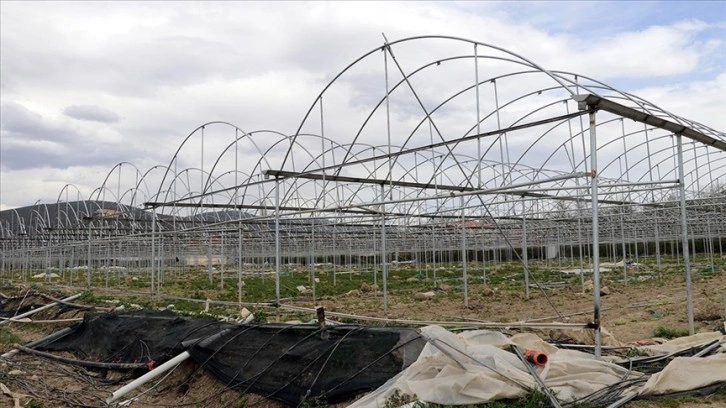 Amasya'da seraları kardan zarar gören çiftçiler destekle yeniden üretime başladı